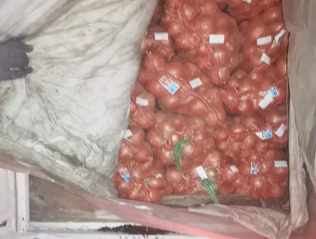 На Южный Урал не допустили партию казахстанского лука весом 20 тонн.