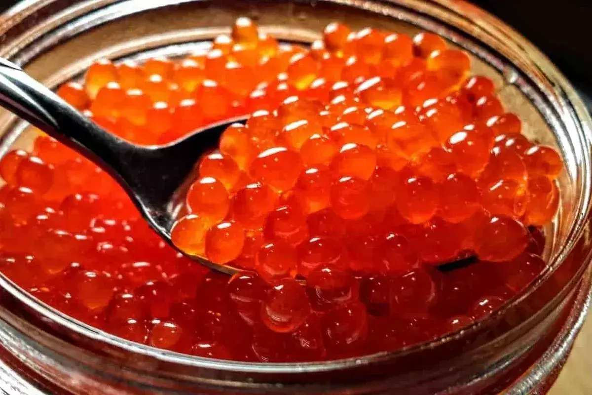 Казахстан возглавил список покупателей красной икры из России - новости на Lada.kz 07.02.2026