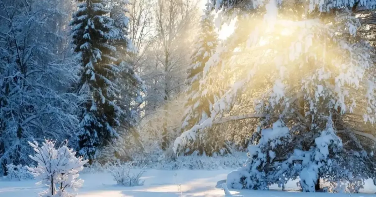  8 ақпанға арналған ауа райы болжамы жарияланды 