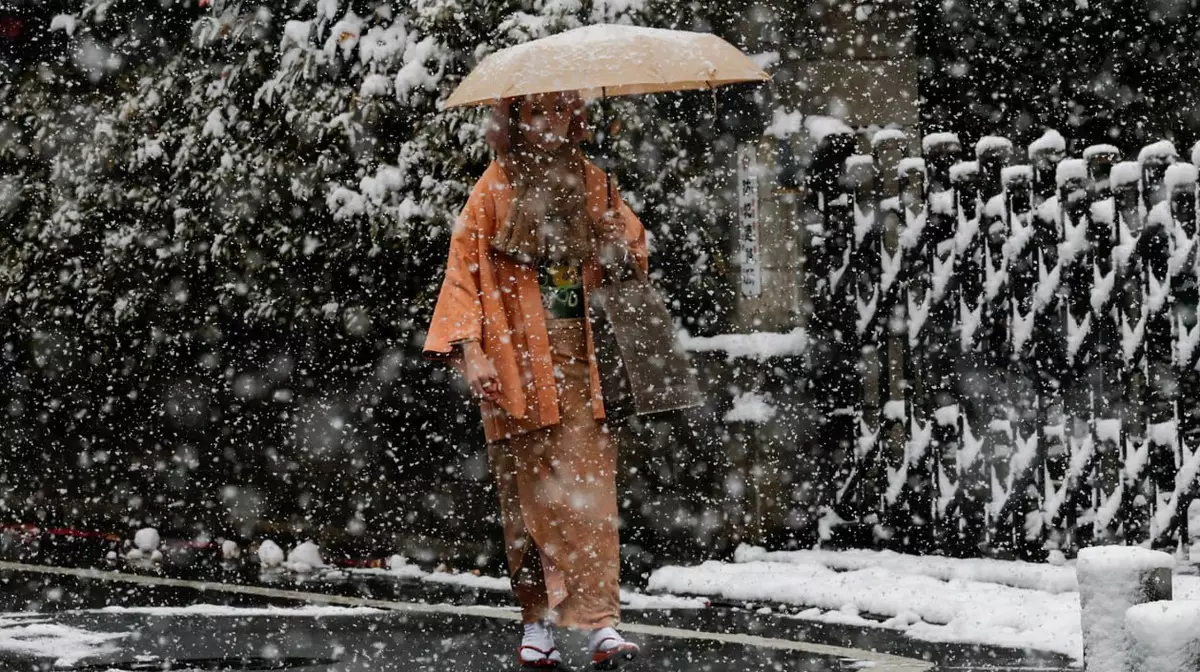 В Японии проходят досрочные парламентские выборы — снегопад может снизить явку