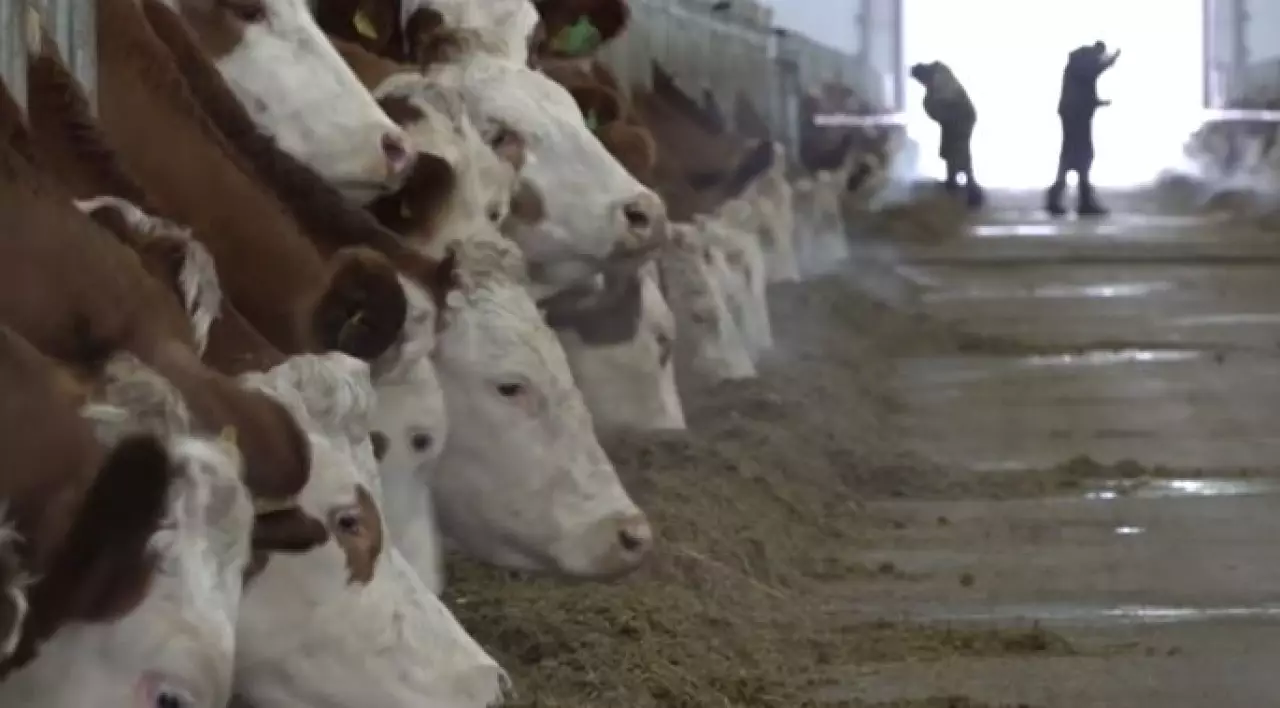 1,5 млрд тенге направили на поддержку бизнеса в СКО