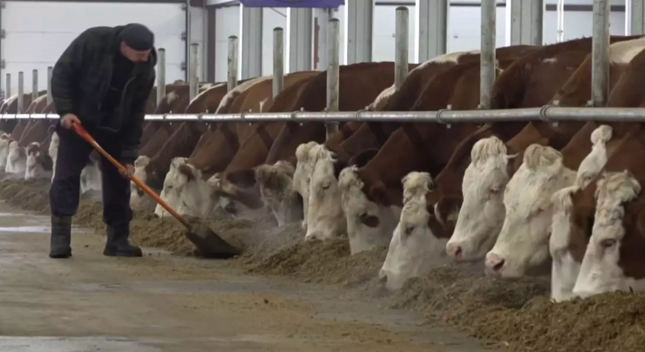 Ауыл бизнесін өрістетуге 1,5 млрд теңге бөлінді 