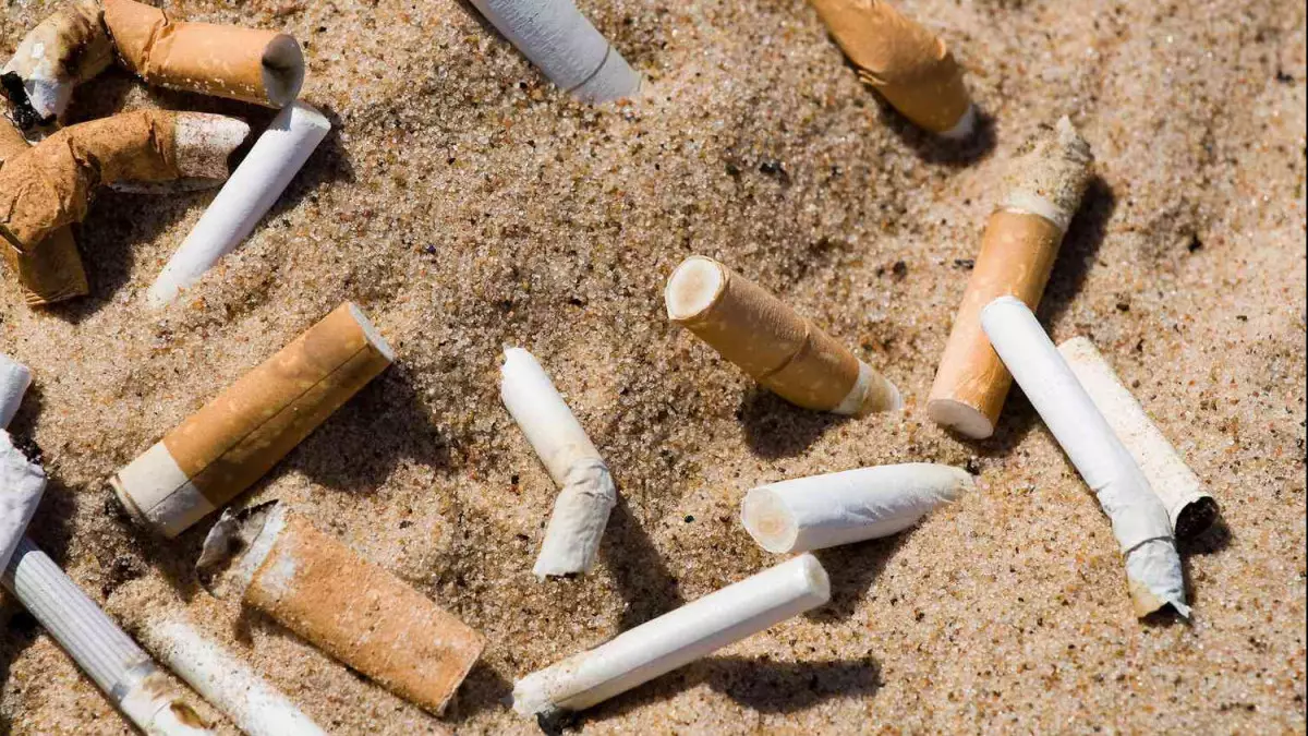 Темекінің қоршаған ортаға әсері бар ма