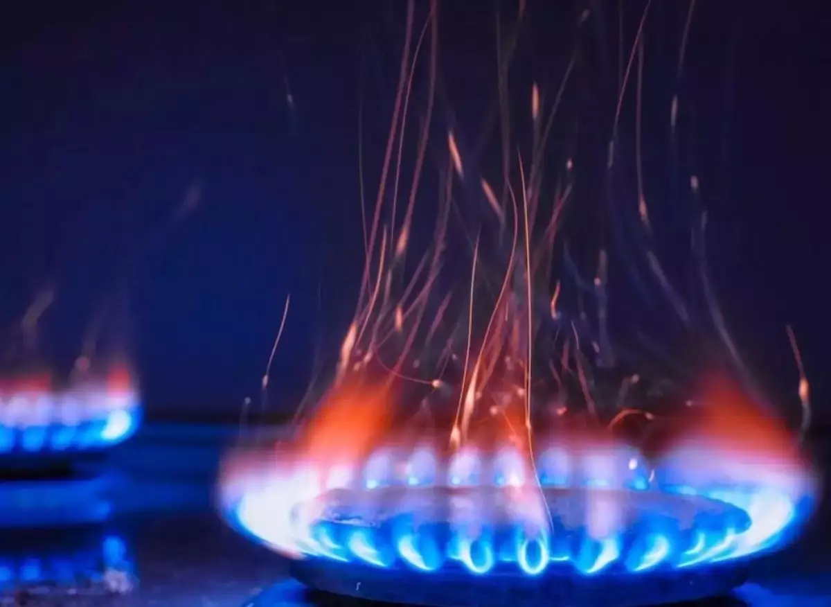 ШҚО-да үш жастағы бала газда уланды