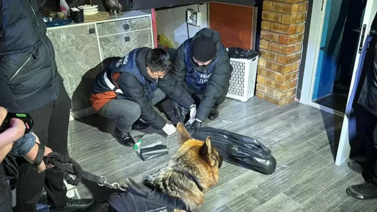 Шары с закисью азота: полиция Кызылорды провела рейд в клубе