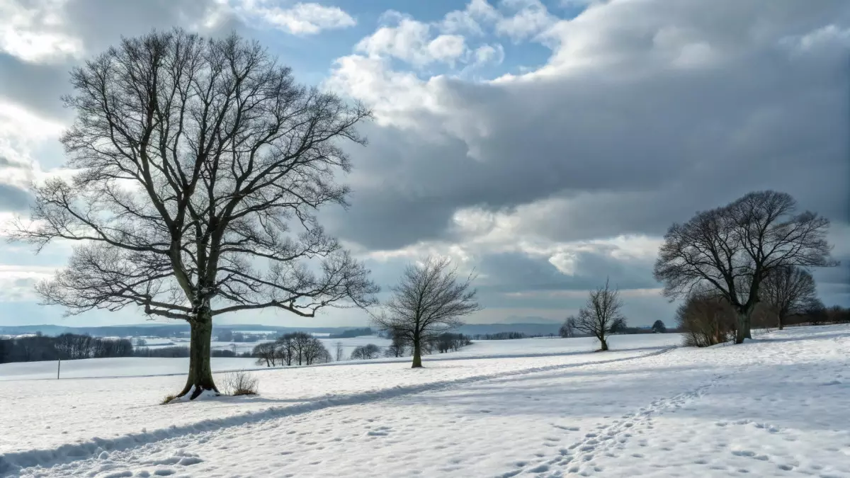 Днём все теплее: прогноз погоды по Казахстану на неделю