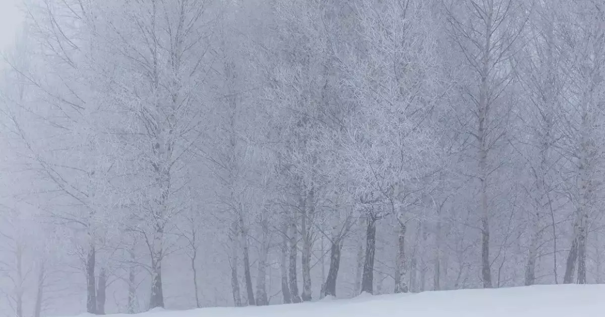  Ауа райына байланысты бірнеше өңірде жол жабылды 