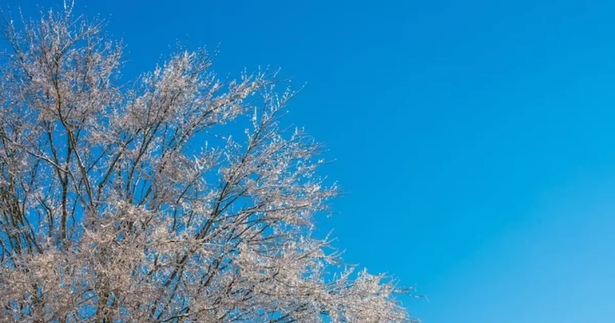  Дүйсенбі күні Қазақстанның басым бөлігінде ауа райы қолайсыз болады 