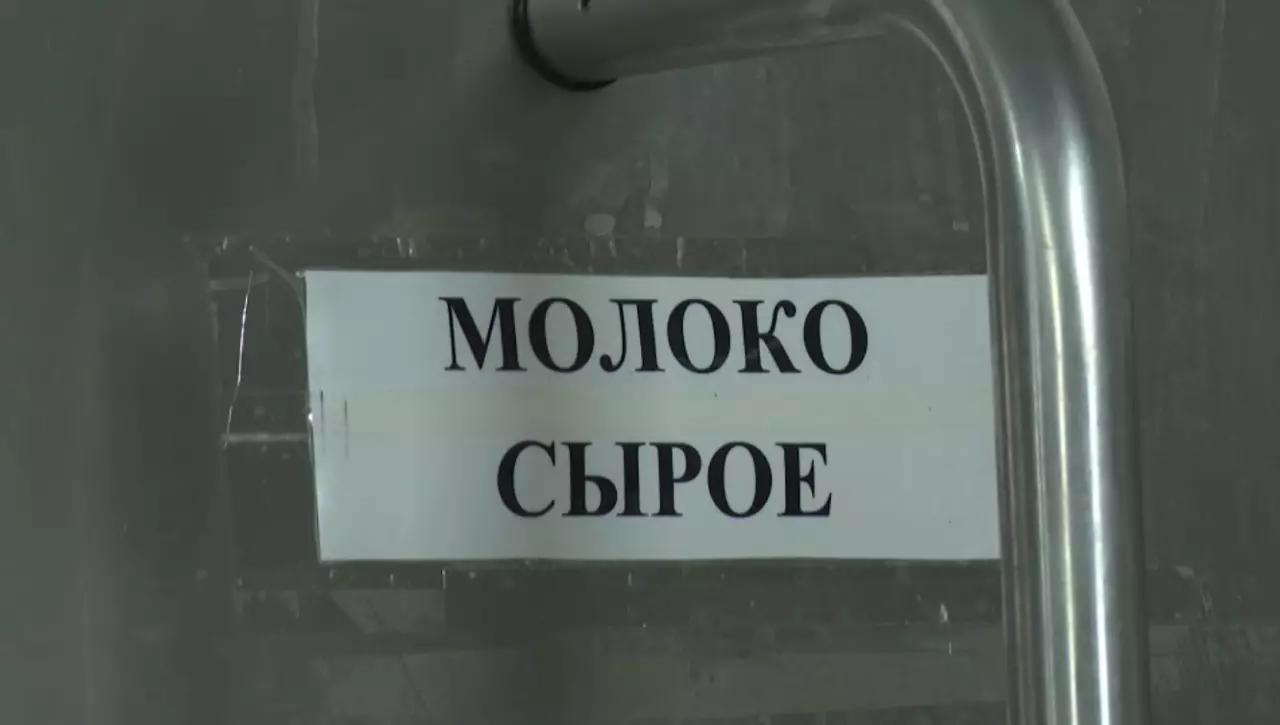 Сөредегінің бәрі сүт емес