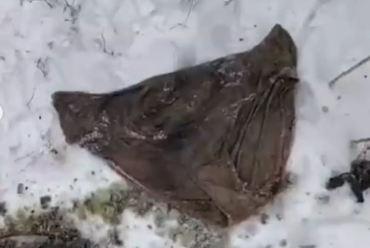 Коммунальщики Караганды достают из канализации нижнее белье и футболки (ВИДЕО)