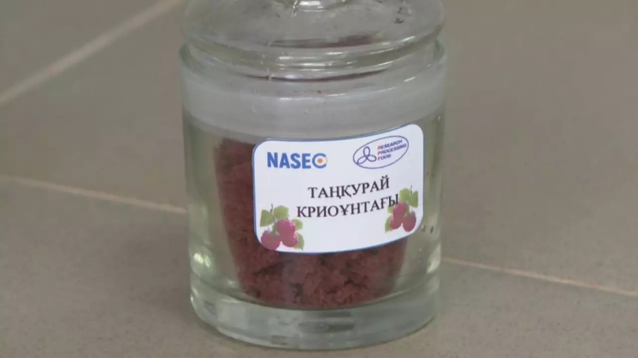 Қазақ ғалымдары көкөніске жұмсалатын ақшаны үнемдеу әдісін тапты