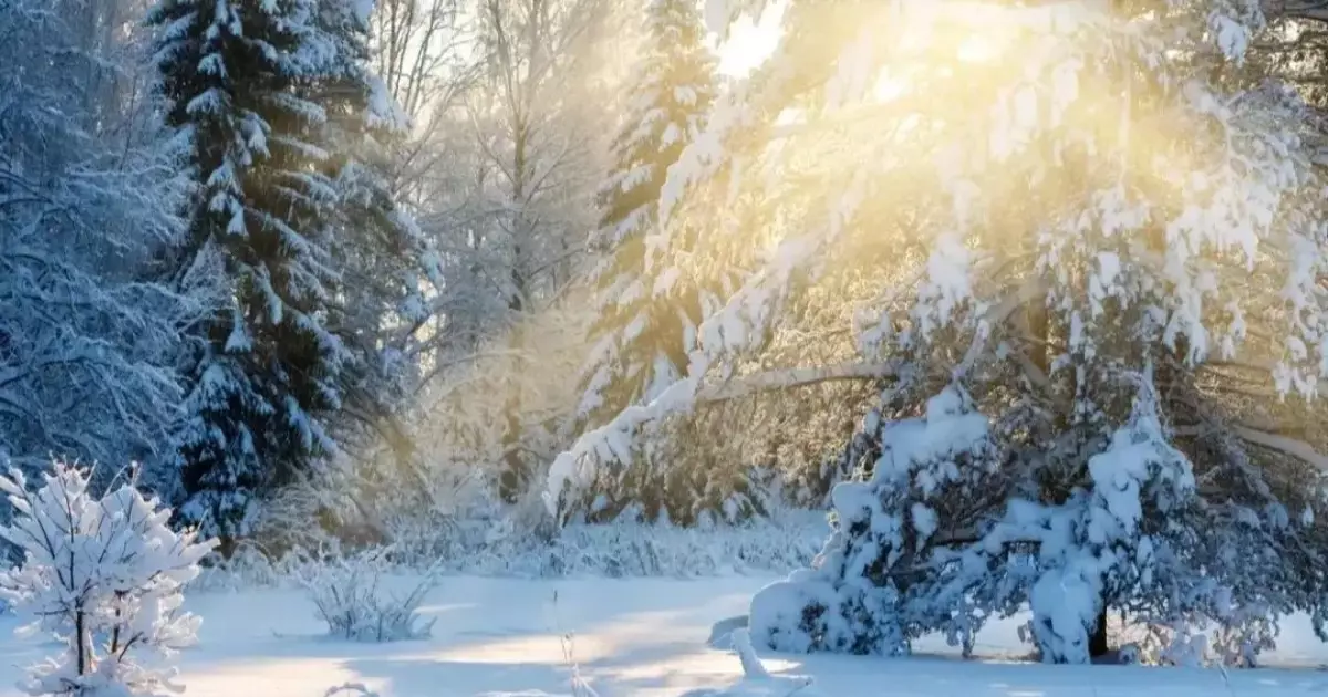  9 ақпанға арналған ауа райы болжамы 