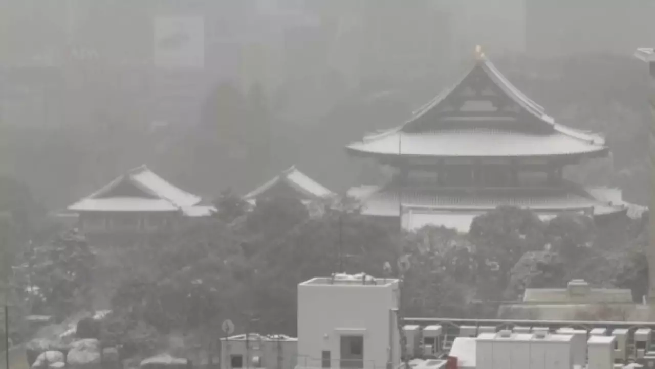 Сильный снегопад парализовал Токио