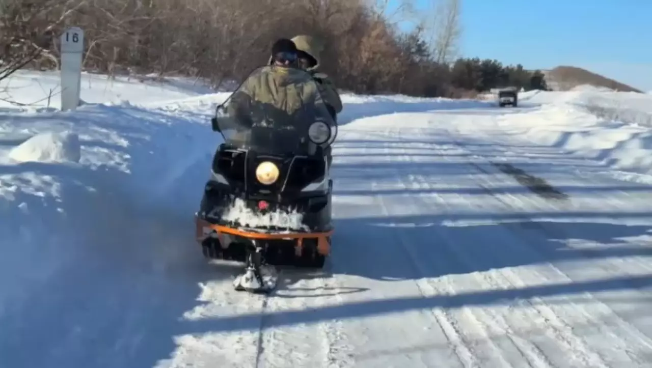 Лесные угодья в Восточном Казахстане сдадут в аренду