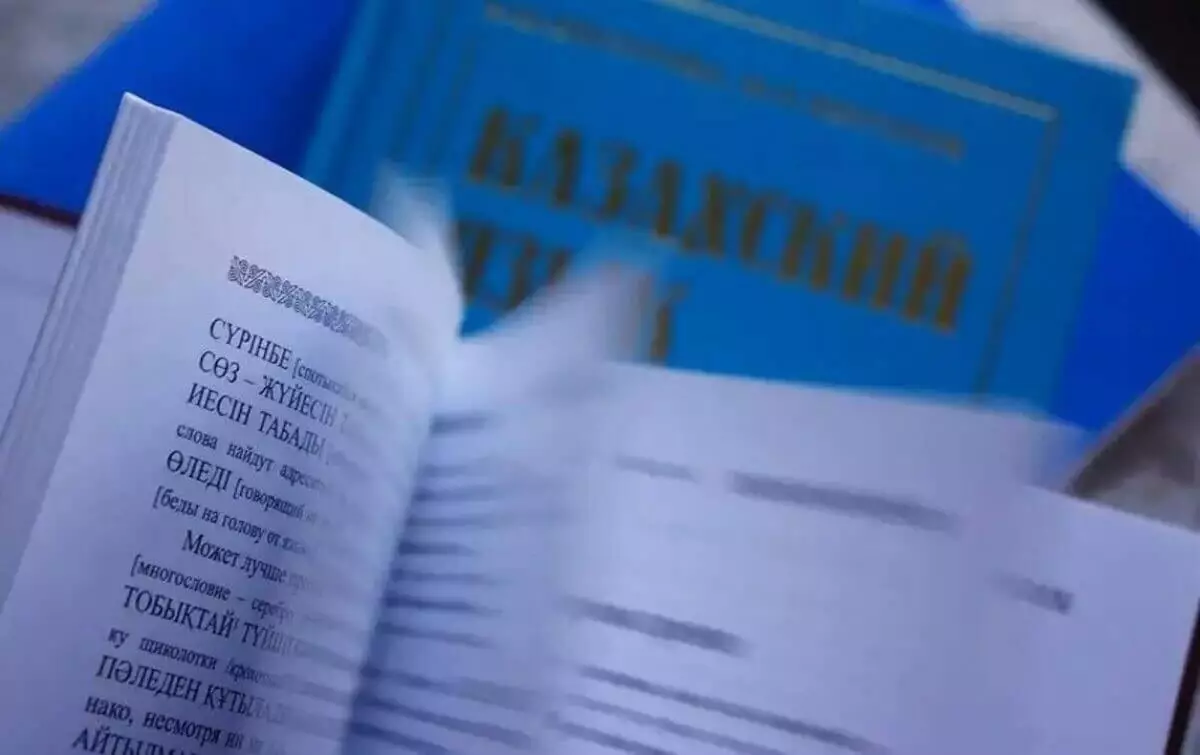 Игры, кино и диалоги: как в Караганде учат казахский язык