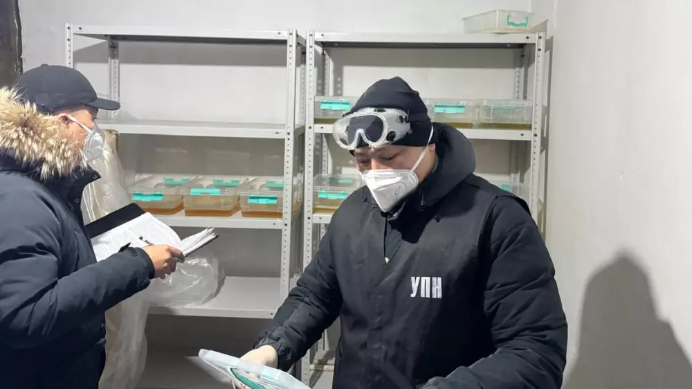 Казахстанец арендовал дом в Талдыкоргане и пустился во все тяжкие