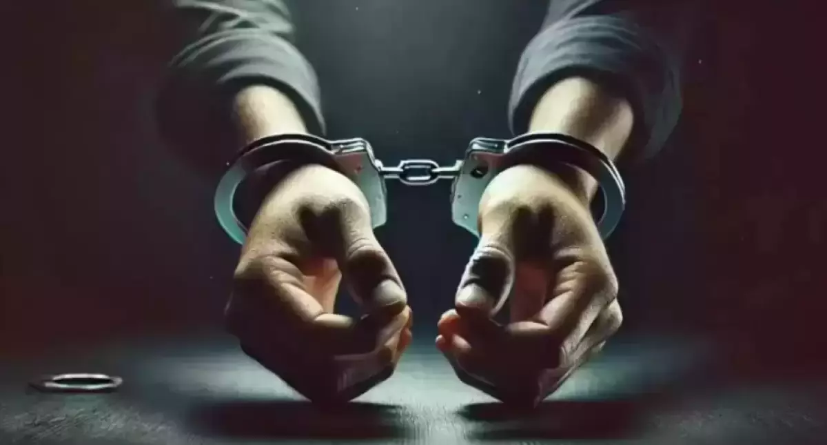 TikTok арқылы террористік материалдарды таратқан тұрғын сотталды