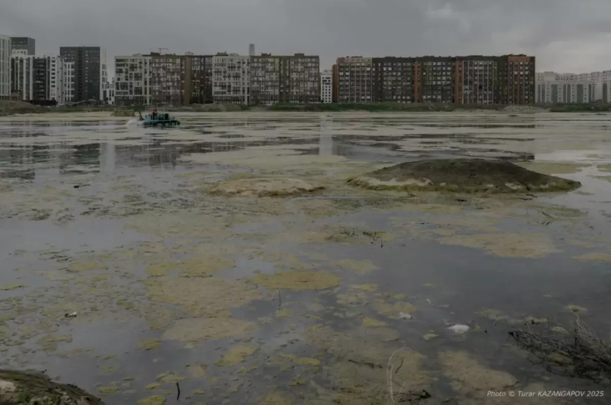 «Пока мы спорим, озера засыпают»: активисты на суде вскрыли нарушения в деле Талдыколя