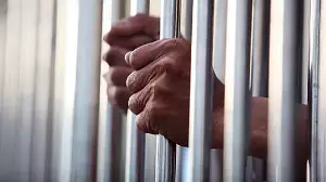 Абай облысында терроризм насихаттаған тұрғын сотталды