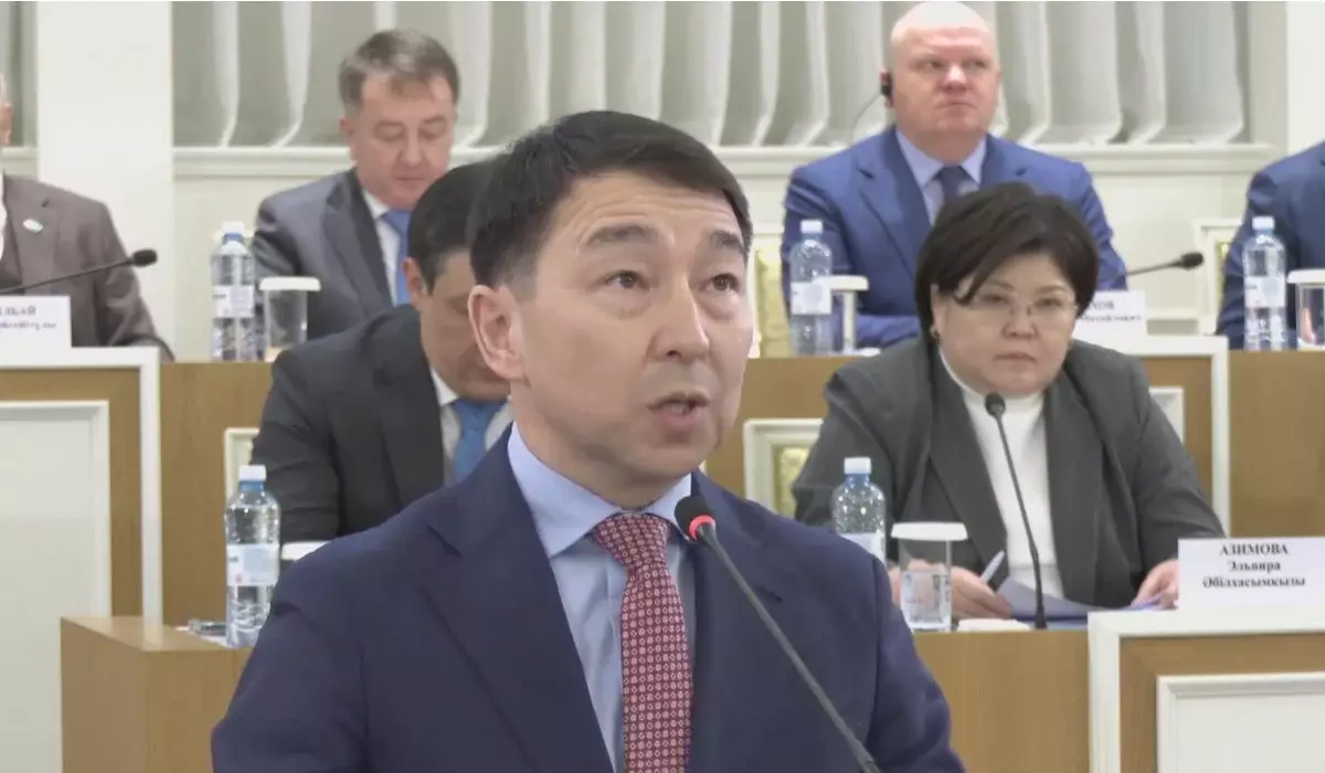 Волонтерскую деятельность и благотворительность планируют закрепить в Конституции Казахстана