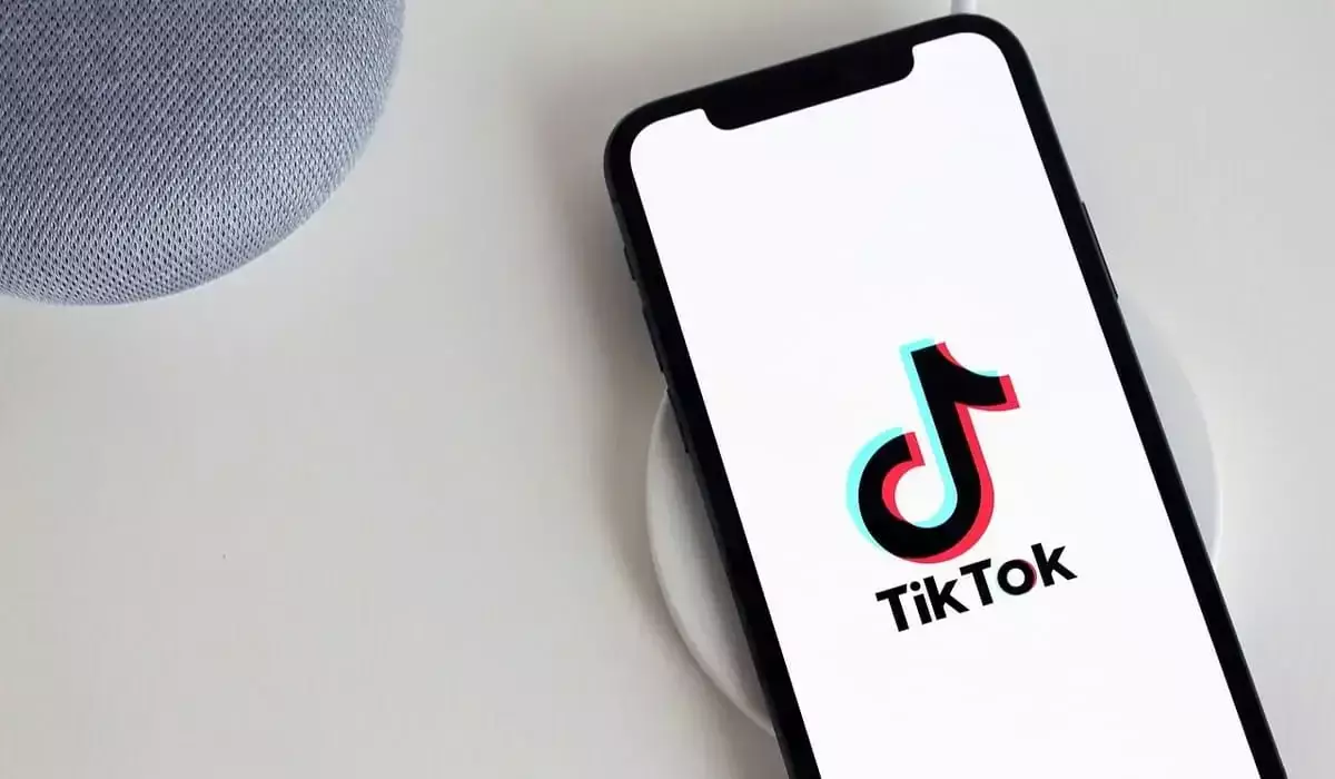 Публикации в TikTok обернулись тюремным сроком для жителя Семея