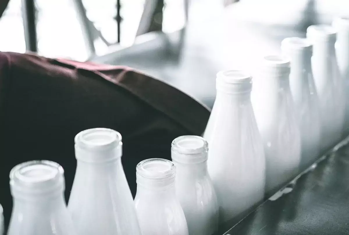 В Кыргызстане разгорелся спор из-за поставок молока в Казахстан