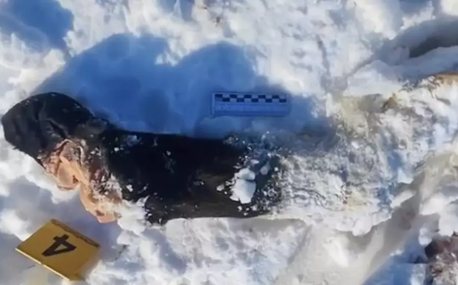 Батыста екі адам жайылымда жүрген жылқыны атып алып, сатып жіберген