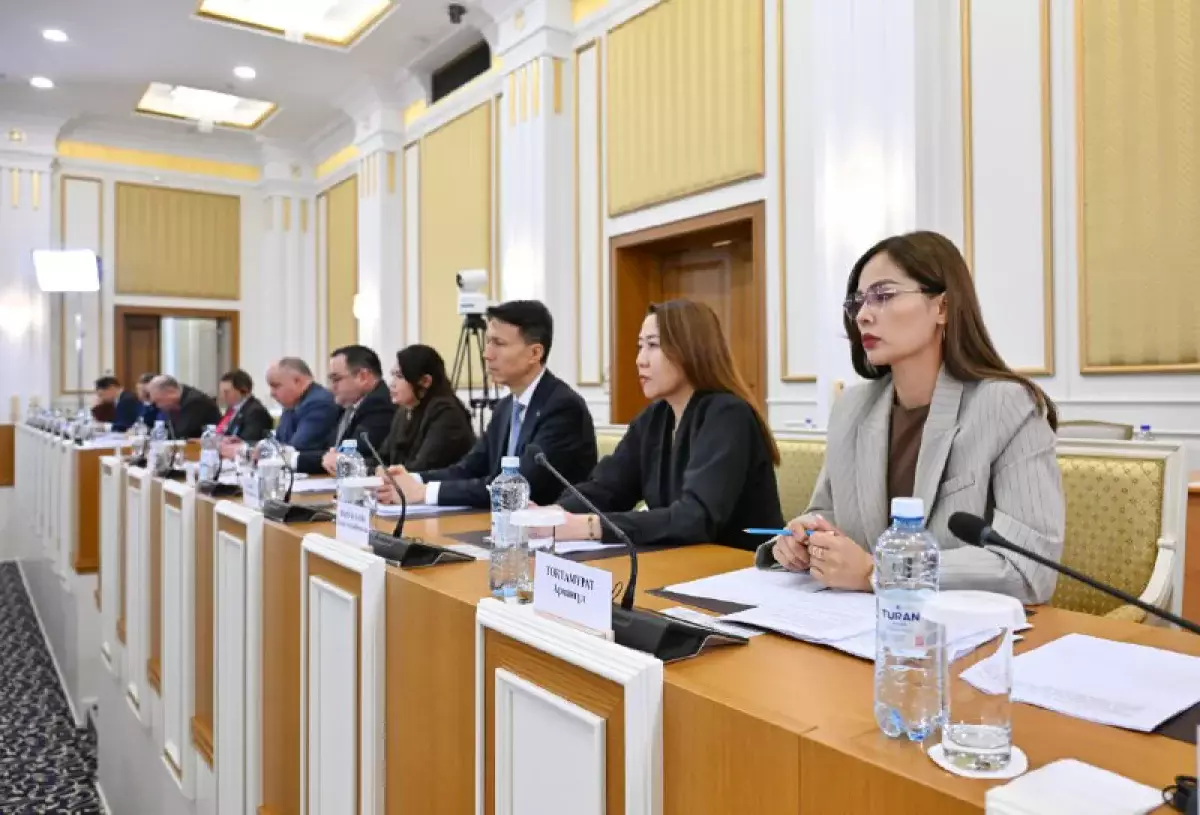 Новая Конституция четко разграничивает права гражданина и права человека – Индира Аубакирова