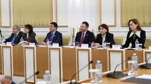 Ата заң жобасы жалпыхалықтық референдумға шығаруға дайын – Марат Шибұтов