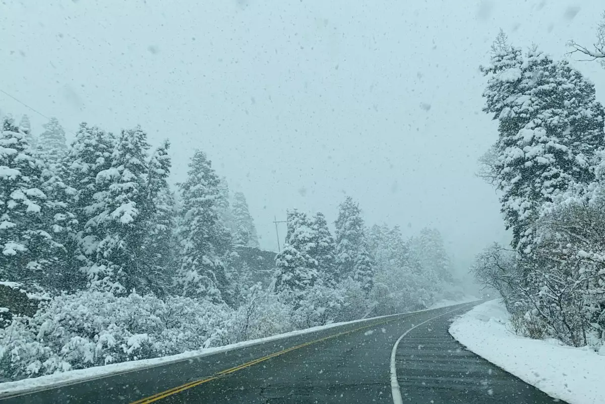 Дороги Павлодара бьют по людям: более 100 пострадавших и пять погибших
