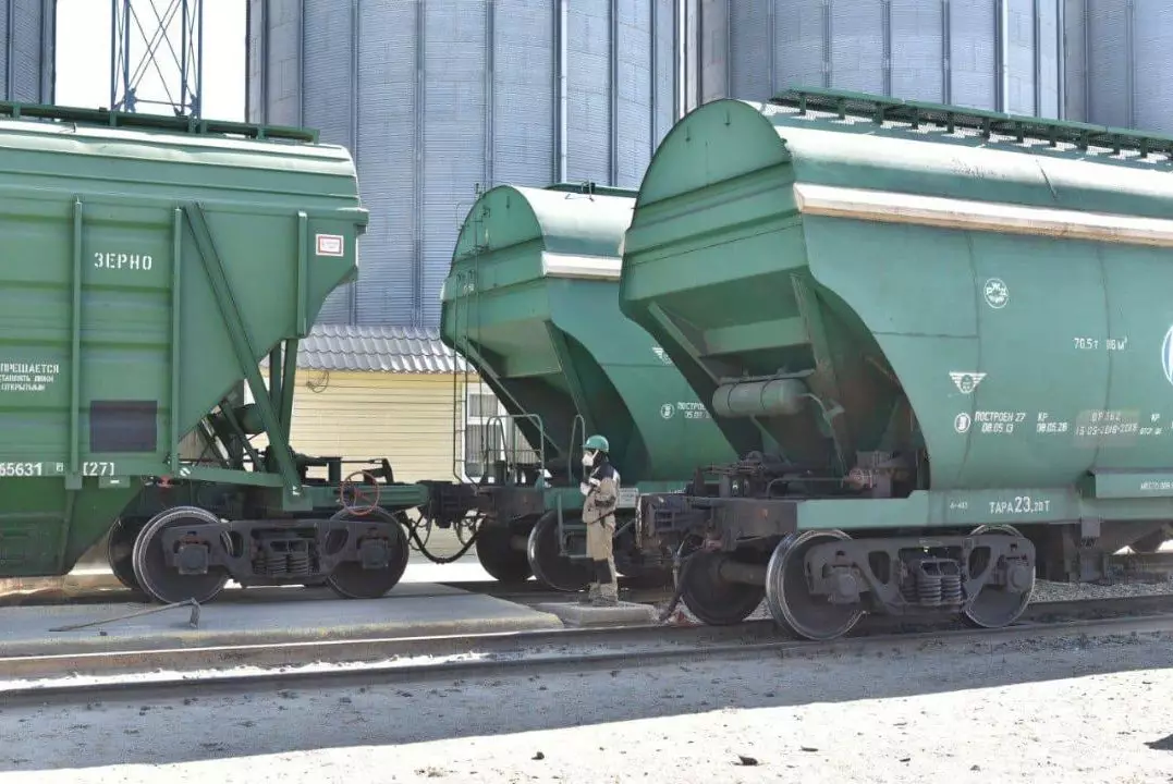 Казахстан отправил в Китай почти 1,8 тысяч тонн льняных семян