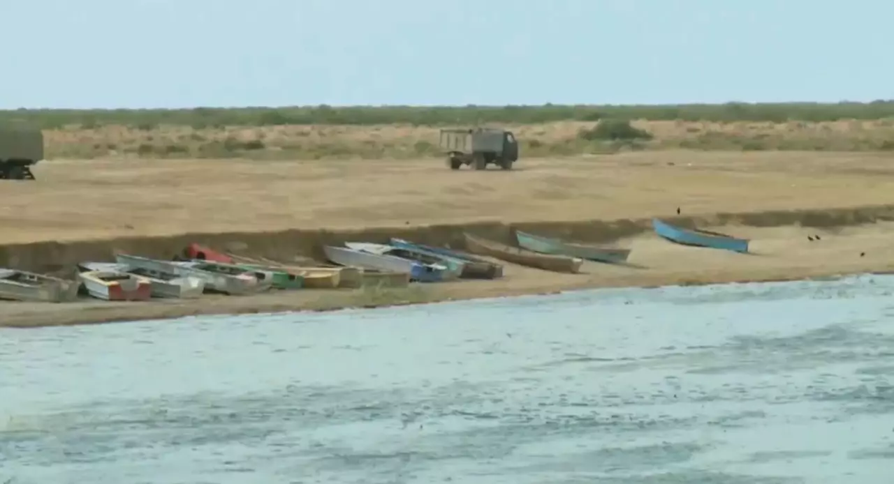 Оңтүстік Арал сексеуіл алқабына айналуда