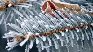 Қазақстанның басым бөлігінде қатты аяз және боран болады