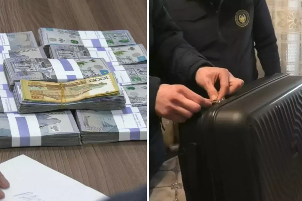Алматинец упаковал в чемодан свои 20 млн тенге и собственноручно вручил мошенникам
