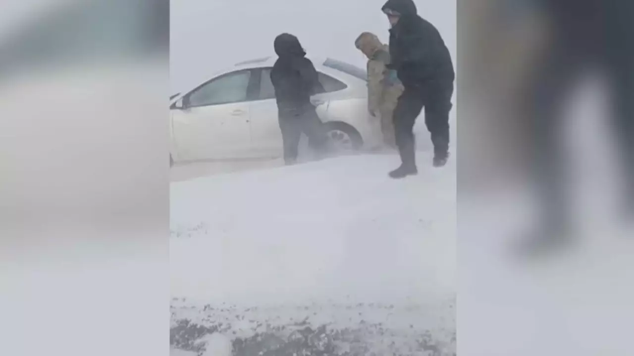 20 человек спасли из снежного заноса в области Абай