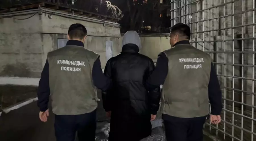 Қыр соңынан қалмаған, күш қолданған: Шымкентте сталкинг дерегі бойынша екі күдікті ұсталды