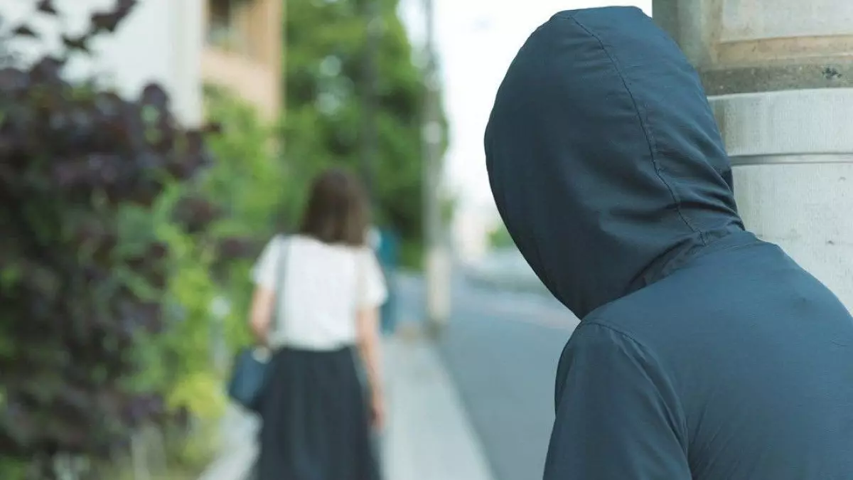 6 ай бойы аңдыған: Астанада сталкер сотталды