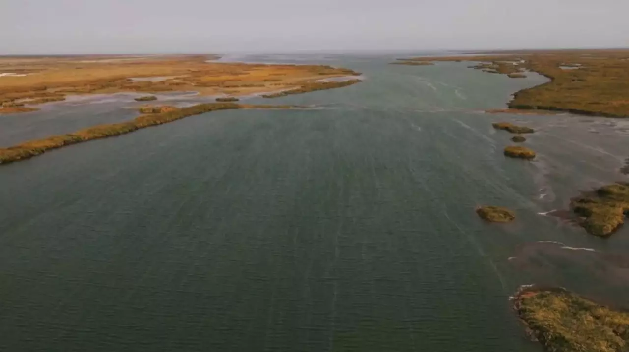 Эксперт о возможности пополнения Арала