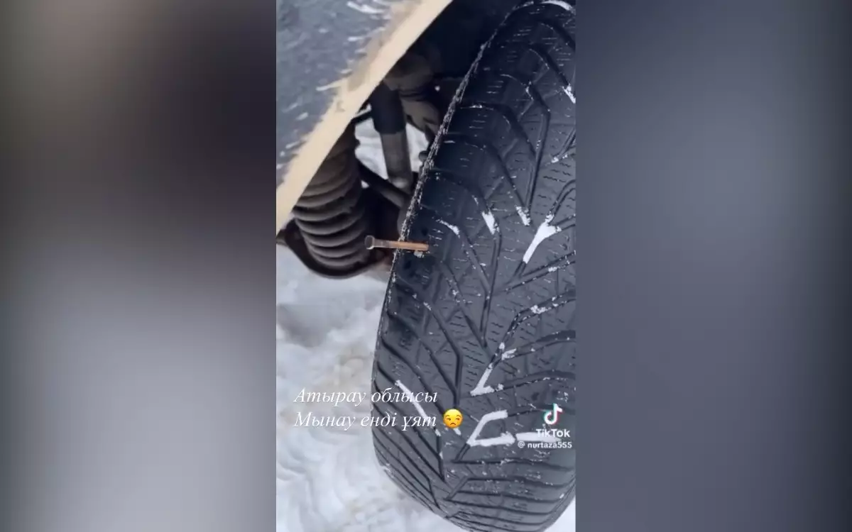 В Атырау браконьеры ставят ловушки на реке Урал