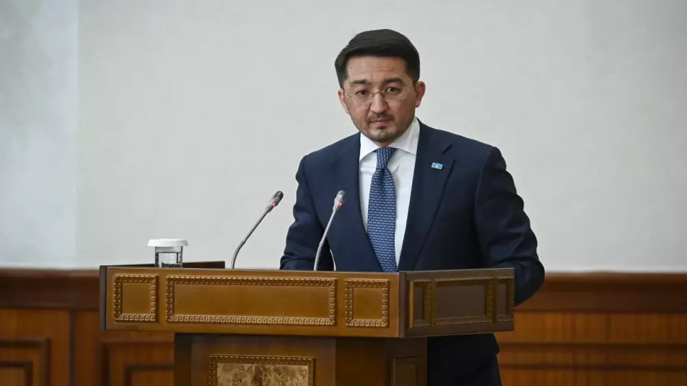 “Кто это всё придумал - пусть тот и платит“: Токаев сделал замечание вице-премьеру