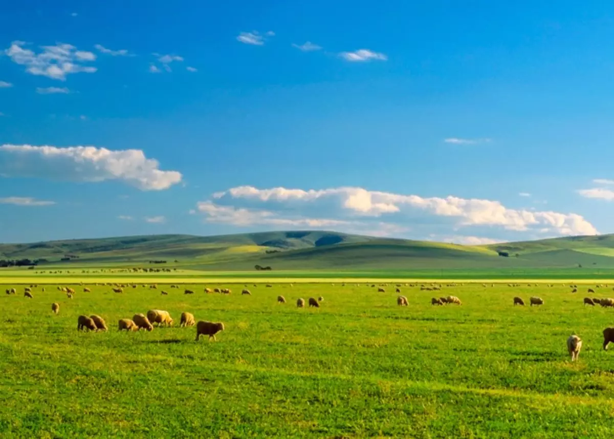 10 мың гектардан астам жерді пайдаланып отырған кәсіпкерлерге ескерту жасалды