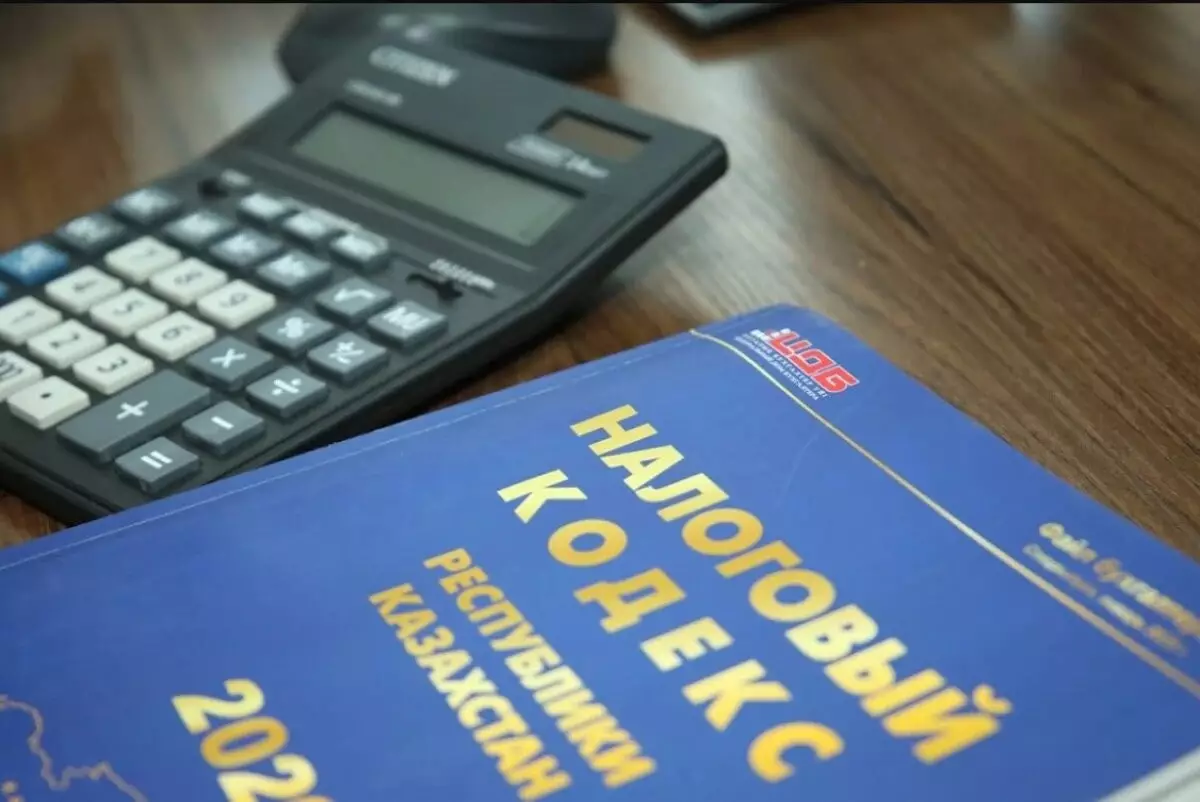 Видны первые положительные результаты – Токаев о новой налогово-бюджетной политике