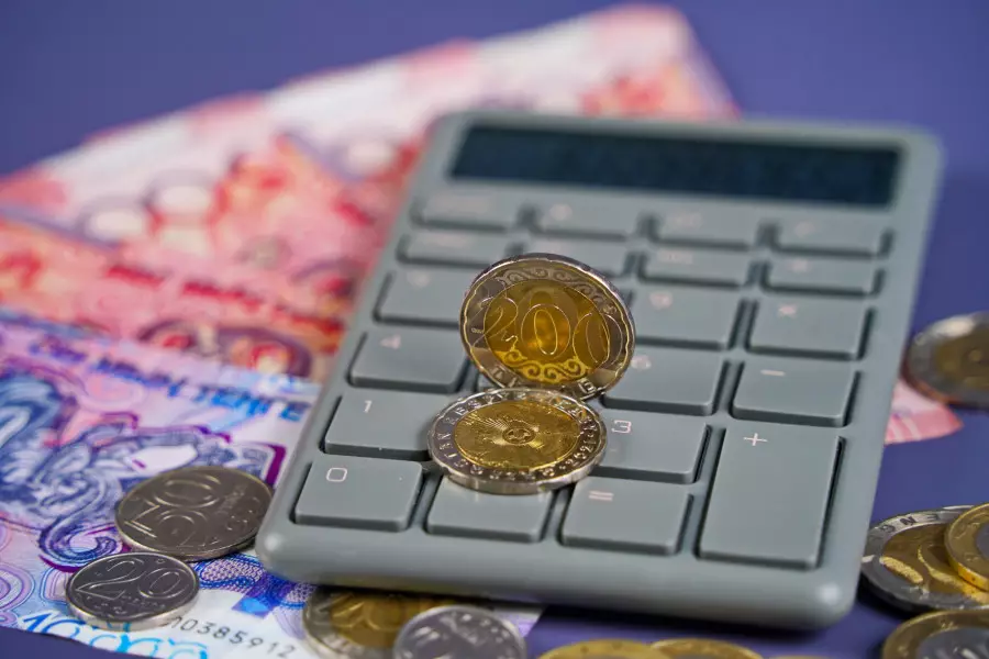 “Әркім өз білгенін жасауды қою керек“: Үкіметке бюджет бағдарламаларына ревизия жүргізу тапсырылды