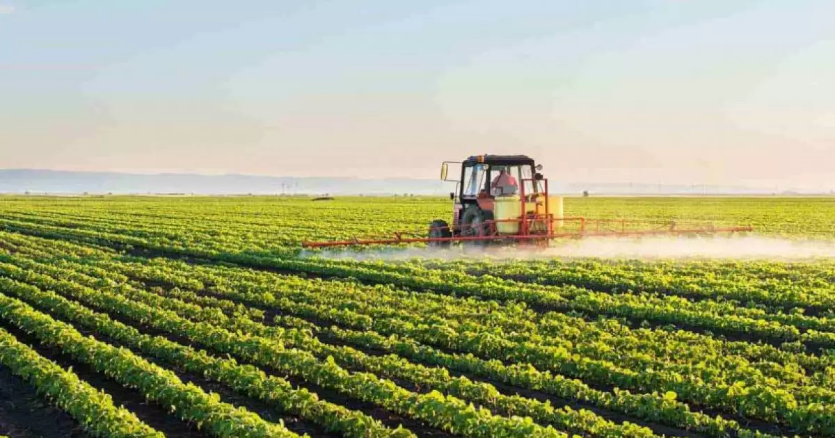  Президент Үкіметке шаруаларды қолдауға бағытталған батыл шаралар қабылдауды тапсырды 