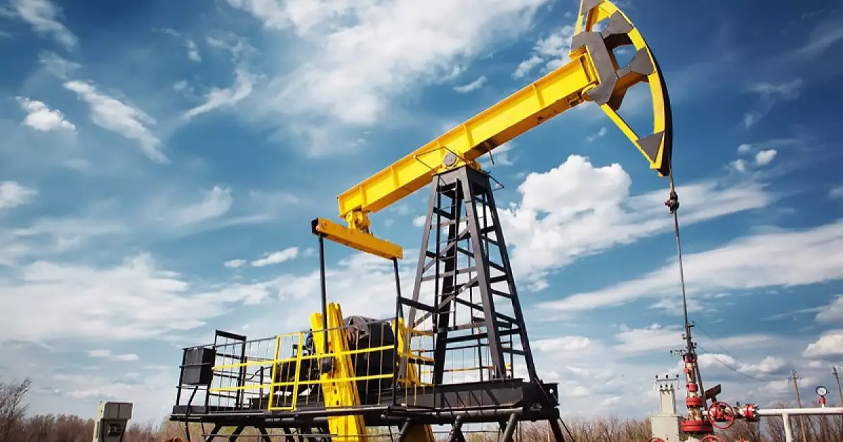  Президент шикізатқа тәуелділікті доғаруды тапсырды 