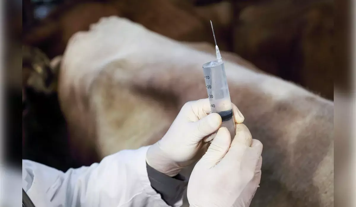 30 тысяч фиктивных актов о вакцинации скота выявили в Казахстане