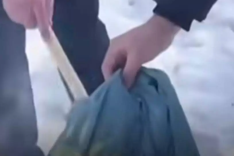 В Павлодаре учителя сожгли государственный символ Казахстана