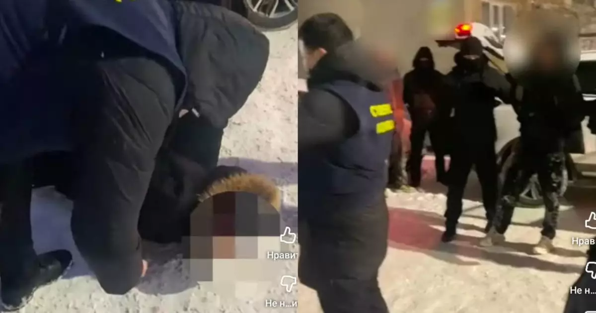  Ақмола полицейлері бірнеше алаяқтық схемаға қатысы бар дропперді ұстады 