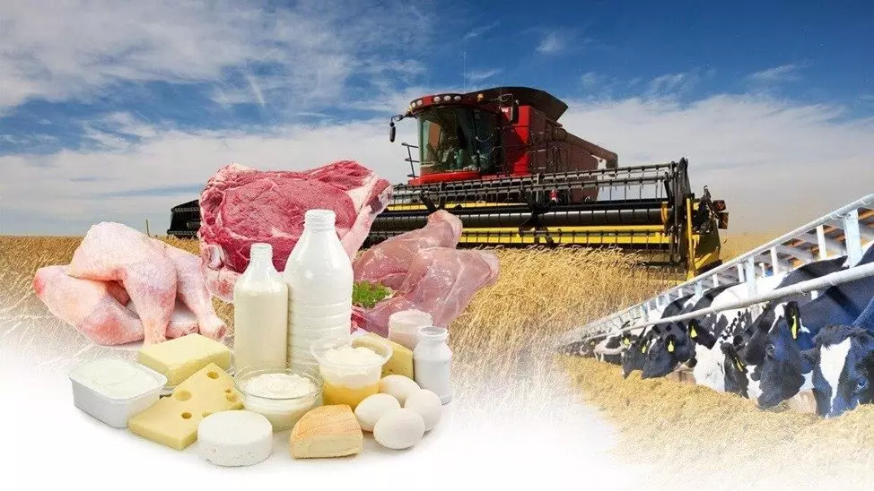 "Биыл Мал шаруашылығын дамыту жоспары жасалды"- деді Президент