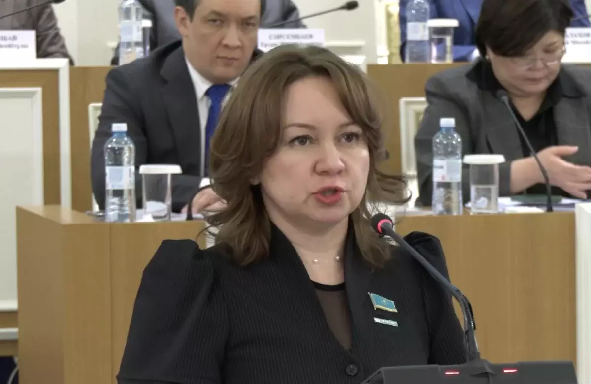 Жаңа Конституция жобасында  барлық өтпелі рәсімдер, мерзімдер мен регламенттер нақты жазылады – Снежанна Имашева